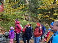 8d1c4468-903e-4c1f-b8ad-9f2ba728e42d