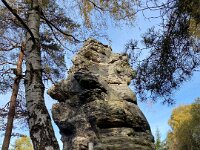 9e88e30d-2d1c-4d09-9f9f-69a861218834