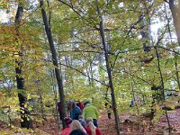 b4ebf6c6-63e1-4367-ac7a-4d5bdb144da0