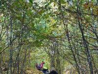 de3e44af-c5c2-4e1a-b6ff-a9ed54644959