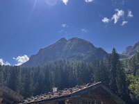 IMG 3493