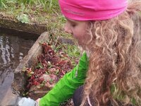 feb2c105-d580-456f-944b-040c7609245b