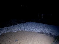 IMG 1577